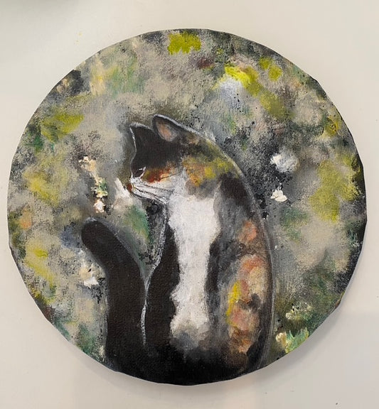 Calico Cat
