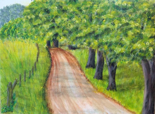 Back Country Road